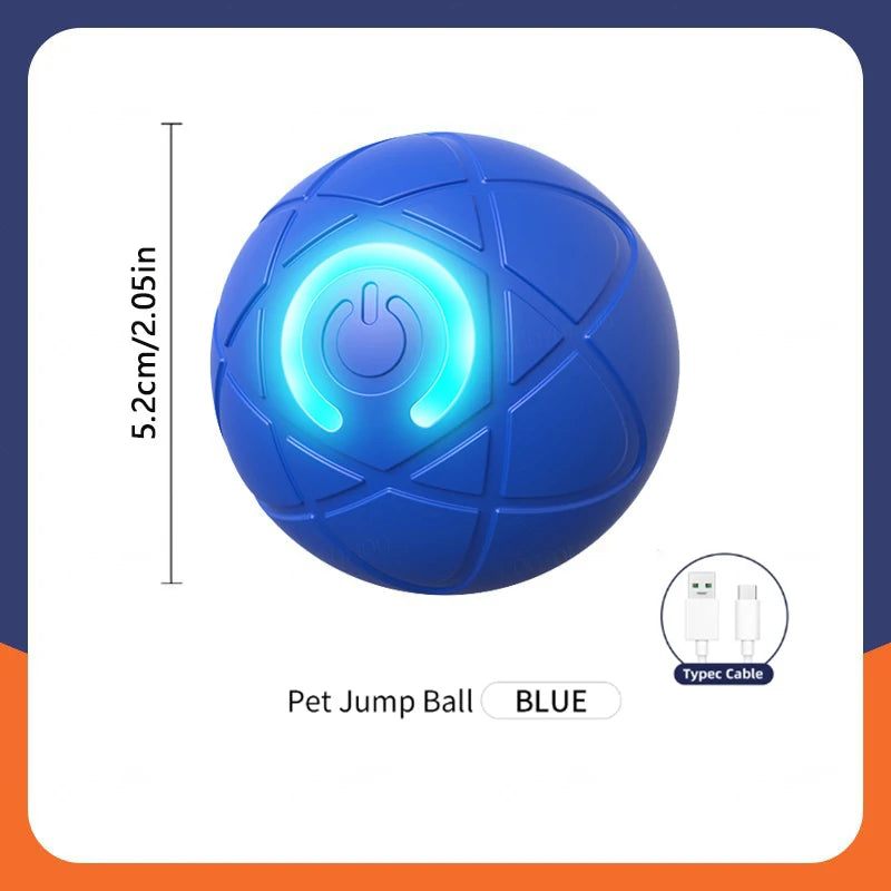 Interactive Pet Toy