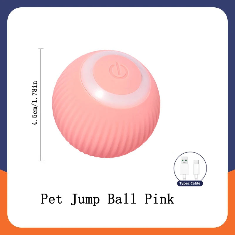 Interactive Pet Toy