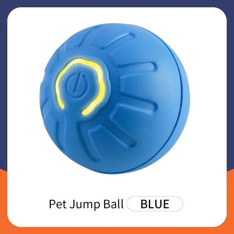 Interactive Pet Toy