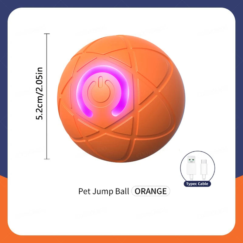 Interactive Pet Toy