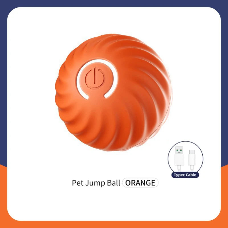 Interactive Pet Toy